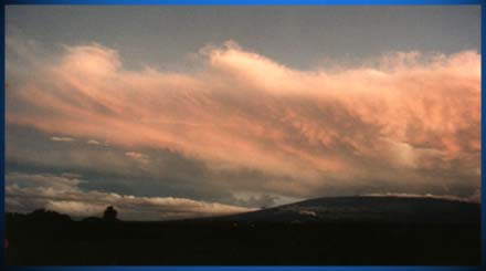 Pink Clouds