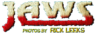 Click to visit Rick's website - www.rickleeks.com